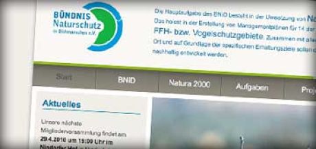 Website Konzept & Design