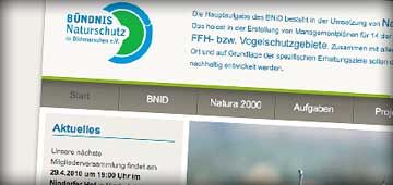 Projekt: Website Konzept & Design